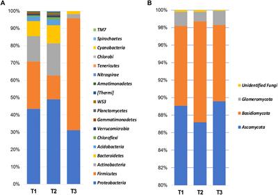 Shifts in the Composition of the Microbiota of Stored Wheat Grains in Response to Fumigation